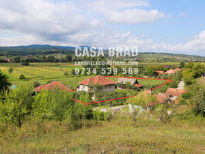 Big house 0.42ha land calm green area town Brad Transylvania