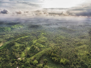 290 acres of beautiful land in the north of Ecuador