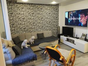 2-room apartment Novi Beograd-Blok 72, worth a look, Serbia