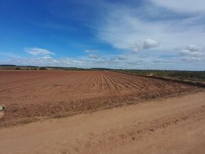 Land - Atouguia da Baleia - Peniche