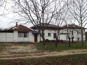 Big rural property with stables, training ground and land