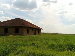 I am selling a house near Zrenjanin - Serbia