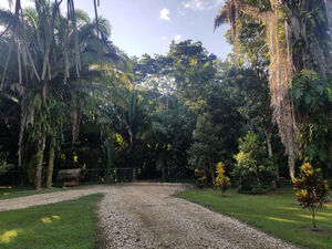 Beautiful 46.23 Acre Farmland with House