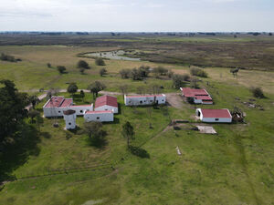 Farmland for sale in Uruguay