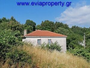 Detached House 100 sqm,  €37.000