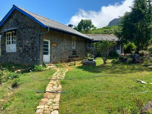 SriLanka highland  picturesque mountains of tea estates