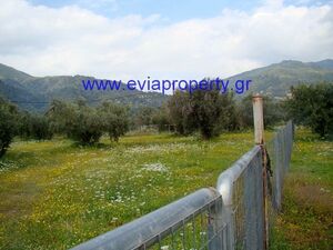 Plot 17629 sqm,  €135.000