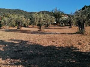 Plot 1000 sqm,  €20.000
