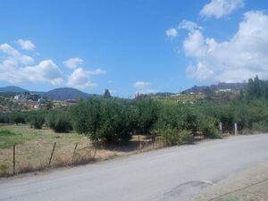 Plot 8000 sqm,  €240.000