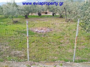 Plot 300 sqm,  €55.000 