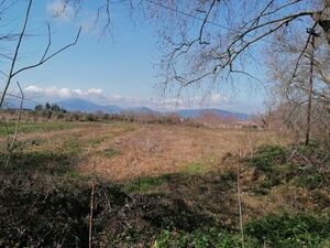 Plot 2667 sqm,  €95.000