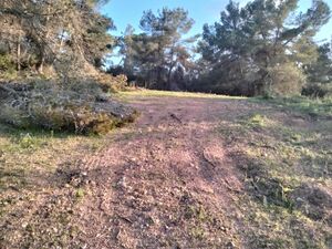 Rural building plot with project in Felanitx, S.E. Mallorca