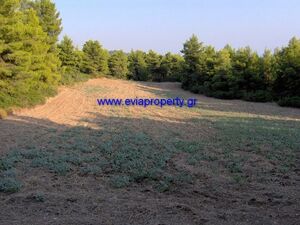 Parcel 5578 sqm,  €35.000