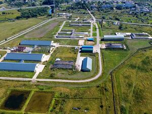 Dairy farm in Russia, 1200 cattle heads