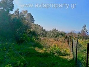 Parcel 1279sqm, €25.000