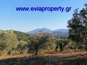 Parcel 7000sqm, €15.000