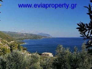 Parcel 6425sqm, €85.000