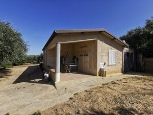 House and land in Sicily - Tamburello Cda Castellaccio