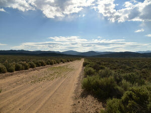 5.03 Acres for Sale in Fort Garland, CO