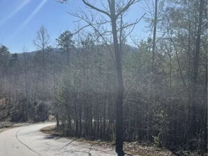 0.78 Acres for Sale in Murphy, NC