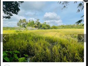 Srilankan Beach near paddy view house for sale