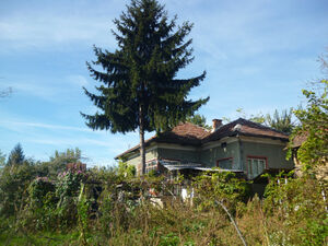 Old rural house with annex & big yard 60 km north of Vratsa