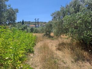 Plot 4500sqm, €90.000