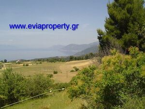 Parcel 16800sqm, €120.000