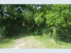 Beautiful Wooded Property in Texas