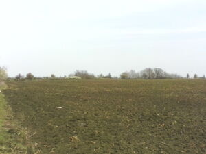 9500 SQM INVESTMENT PLOT BY OWNER NEAR SUNNY BEACH BULGARIA