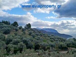 Parcel 1378sqm, €25.000