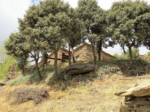 Traditional Well Presented Cortijo