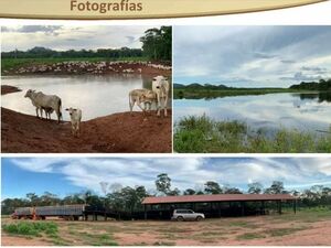 AGRICULTURAL LIVESTOCK PROPERTY FOR SALE