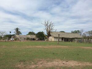 Livestock Property for sale