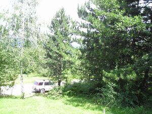 Zlatibor - plot for sale