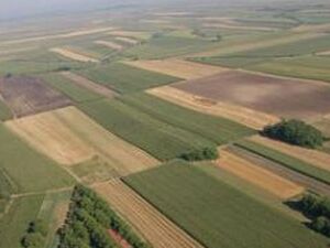 I am selling arable land in Krcedin