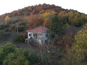 Forest View House - Marchino