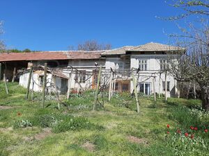 House in a developed and lively village near Pavlikeni