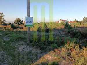 Plot of land for construction in Andorinha, Central Portugal
