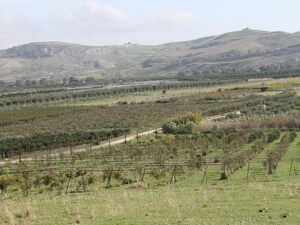 Land in Sicily - Colandrino Borgo Bonsignore