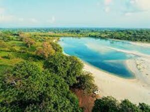 16.5Acres Beach Land in Diani Beach- Kenya for sale