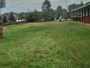  Kikuyu, Gitaru 1.4 acres prime land for sale.