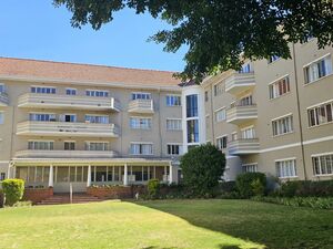 Beautiful One Bedroom apartment in Rondebosch