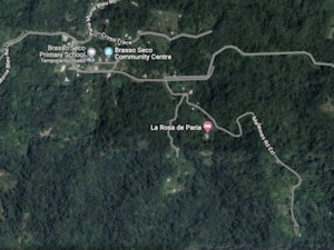 Forested Land with Waterfall in North Trinidad — 11 acres.