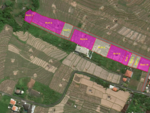 Cemagi Various Leasehold Plots with Rice Field Views