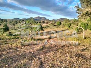 Rural building plot with project - Felanitx - SE Mallorca