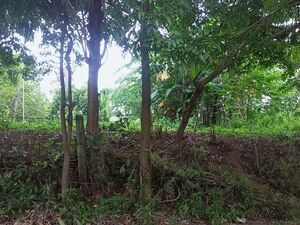 Residential Farm Lot in Aya, Talisay, Batangas