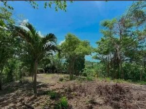 Res/Comm Titled Land For Sale, Loboc, Bohol