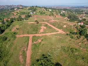 Estate Open Plots For Sale In Sissa With Lakeviews Uganda