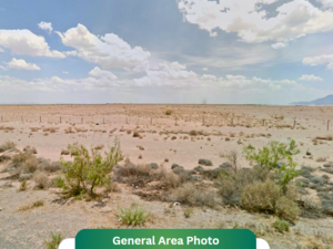 1.04 Acres for $110/Mo – Family-Friendly Land